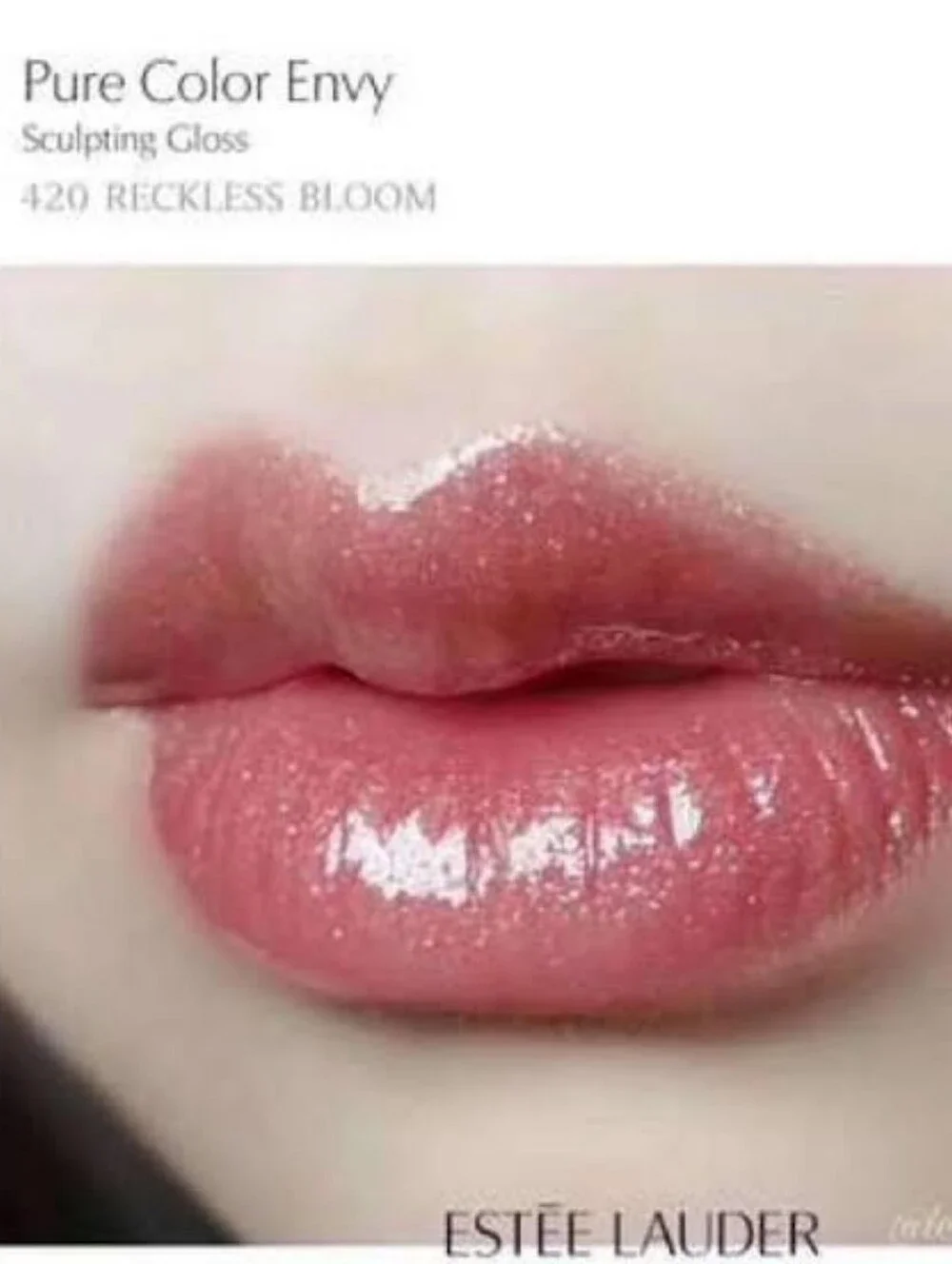 🧚‍♀️RECKLESS BLOOM Estee Lauder MINI DISCONTINUED Pure Color Gloss NWOBOX